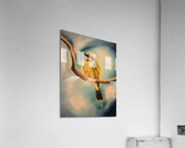 Bee eater Acrylic Print