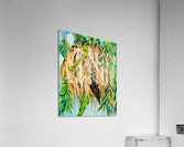Feeding Time Acrylic Print