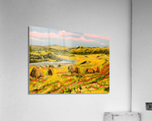 Roaming Free Acrylic Print