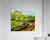 Denali Acrylic Print