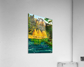 Yellow trees Acrylic Print