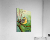Townsend Warbler Acrylic Print