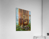 Calle Olvido Acrylic Print