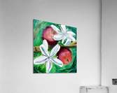 Coffee beans and Flowers Acrylic Print