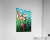 Lorquin Admiral Acrylic Print