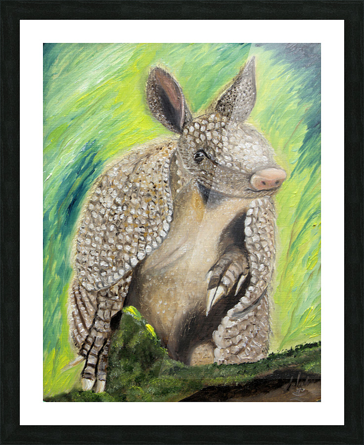 Texas Armadillo Picture Frame print
