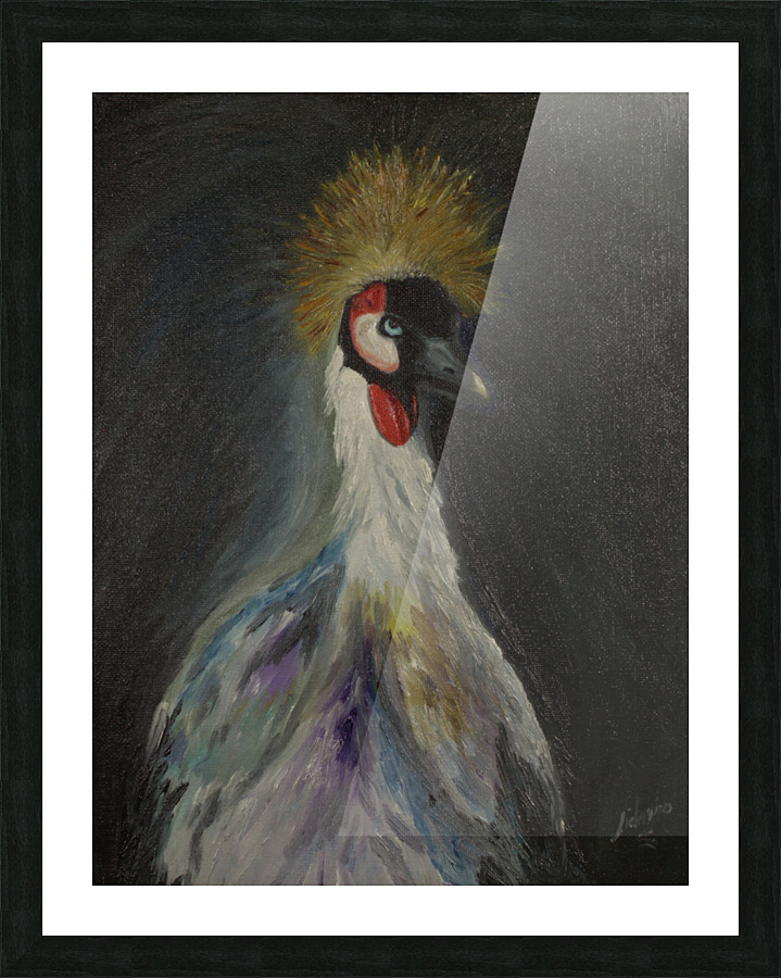 Grey crowned crane Picture Frame print