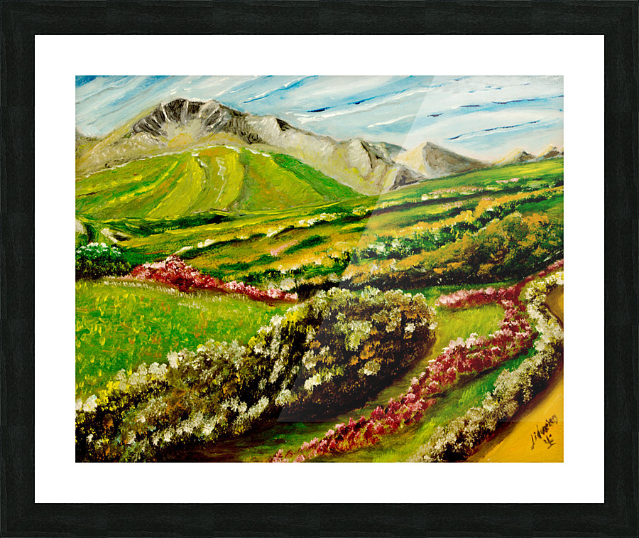 Denali Picture Frame print