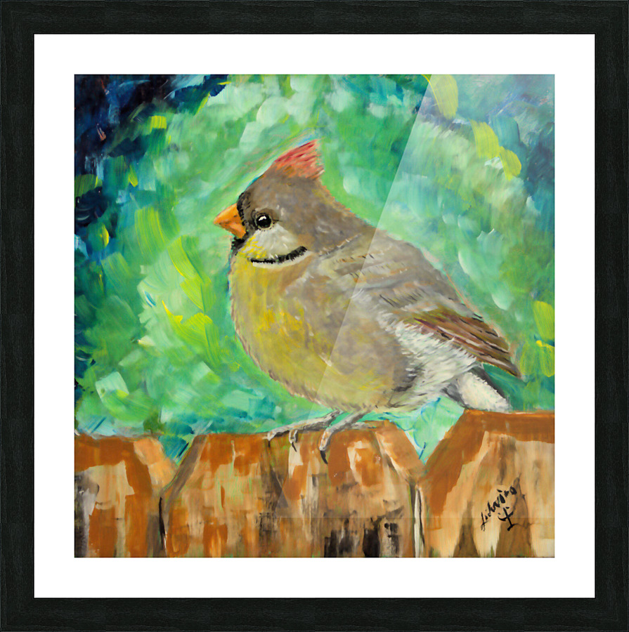 Miss Cardinal Picture Frame print