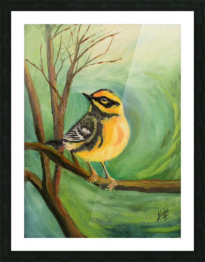 Townsend Warbler Picture Frame print
