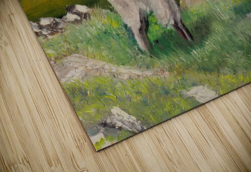 Rocky Mountain Goat Lidu Montero puzzle