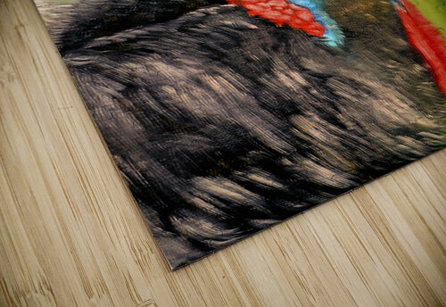 The Cassowary Lidu Montero puzzle