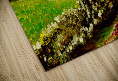 Denali Lidu Montero puzzle