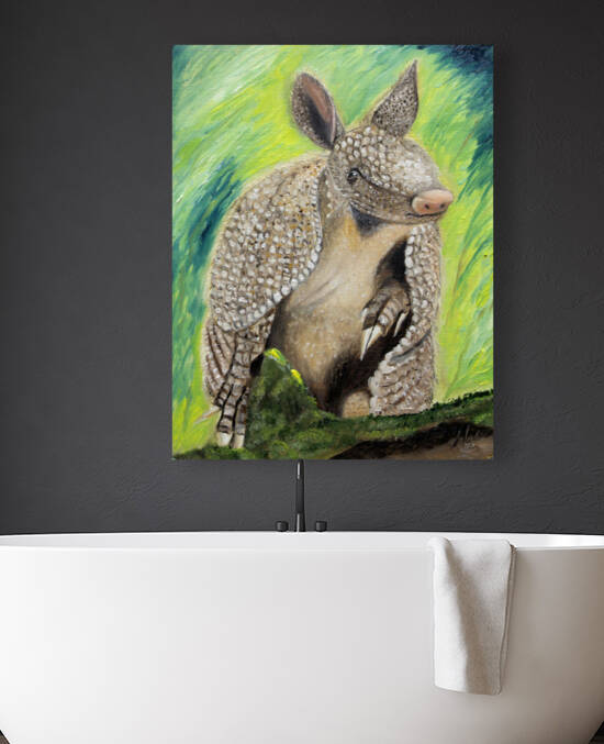 Texas Armadillo by Lidu Montero