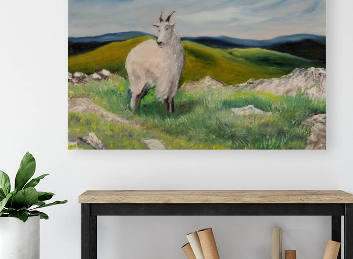 Rocky Mountain Goat Reproduction