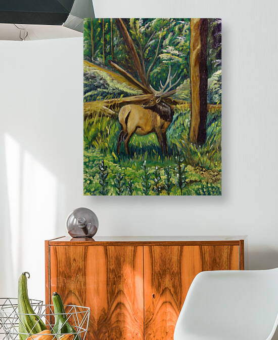 Colorado Elk by Lidu Montero