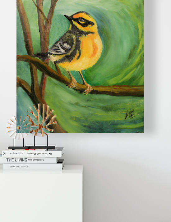 Townsend Warbler by Lidu Montero