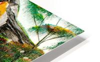 Yellow trees HD Metal print