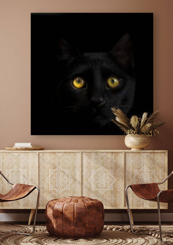 Black cat with yellow eyes by Moe Shirani