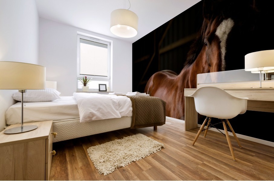 Studio Horses Mural print