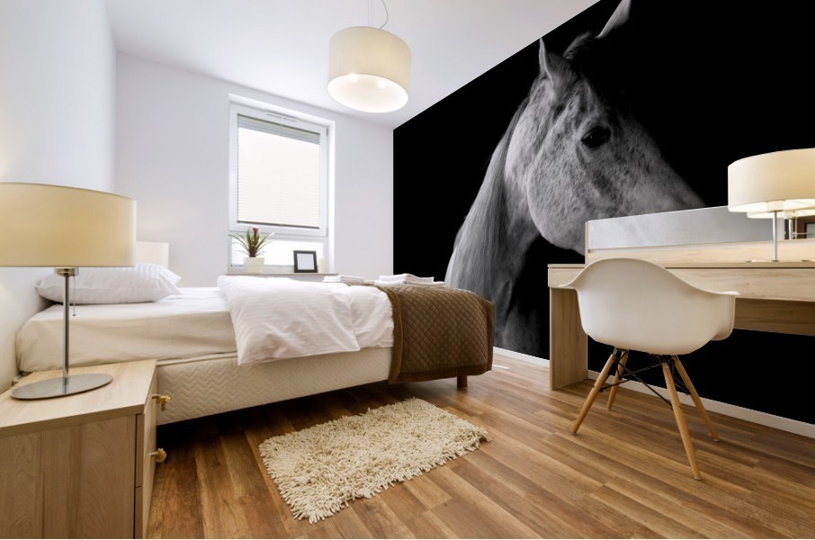 Studio Horses Mural print