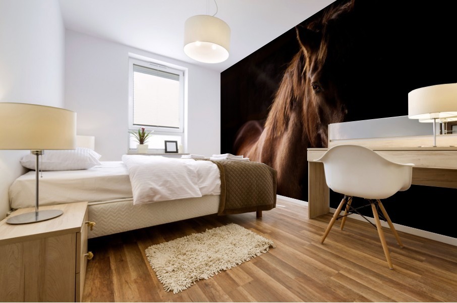 Studio Horses Mural print