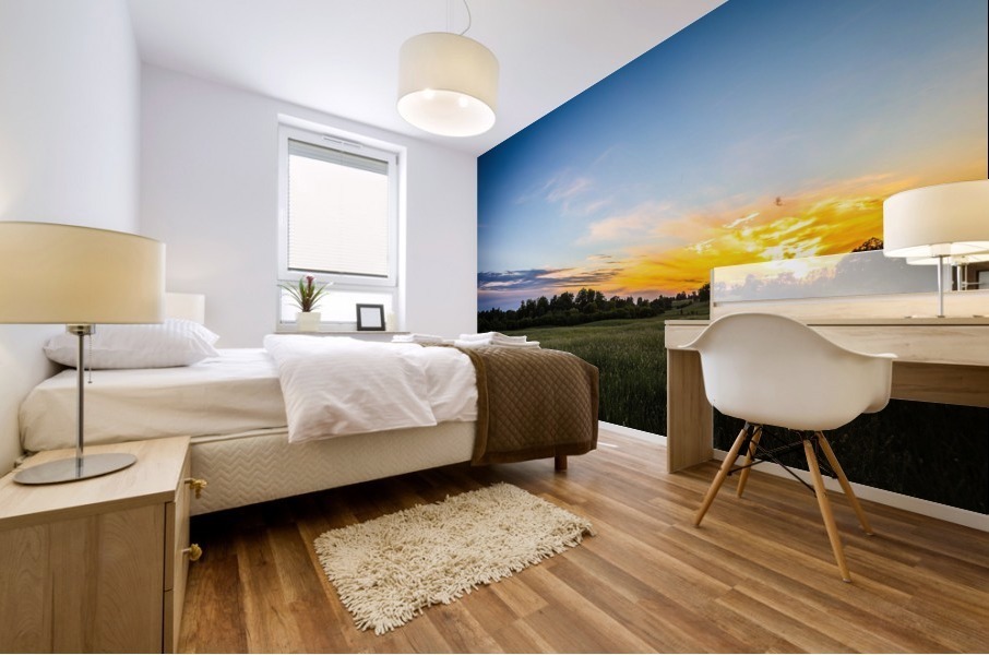 Creekside Sunset 2 Mural print