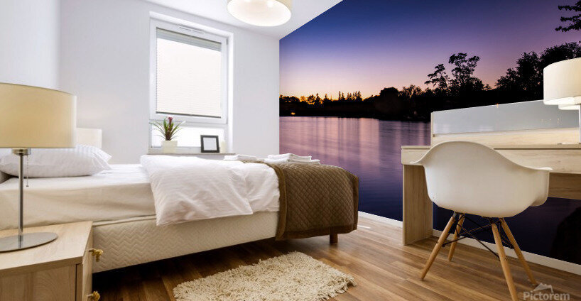 Alder Lake Mural print