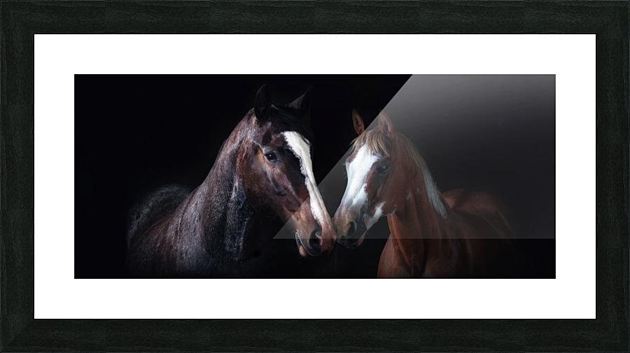 Studio Horses Picture Frame print