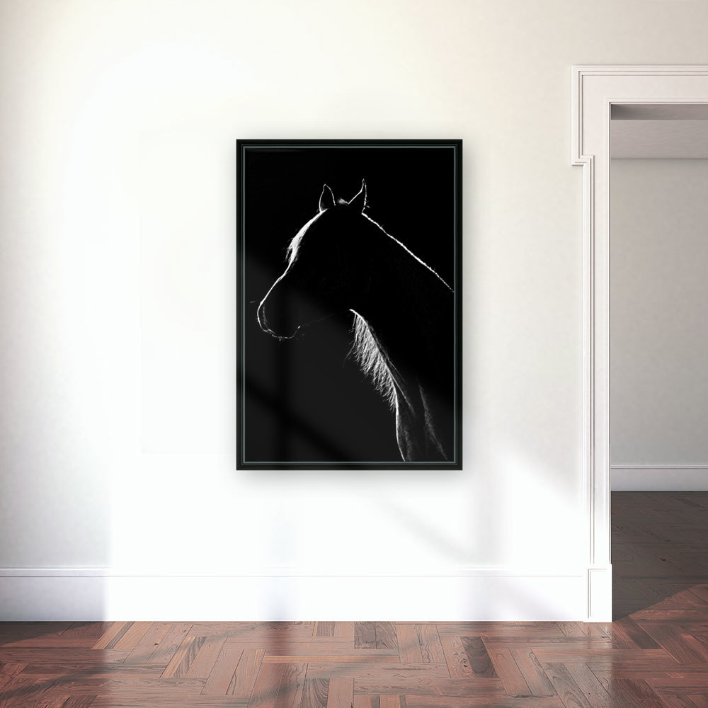 Studio Horses Reproduction