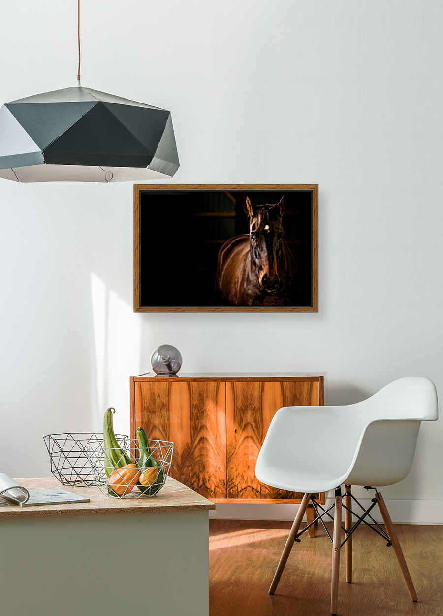 Studio Horses Reproduction