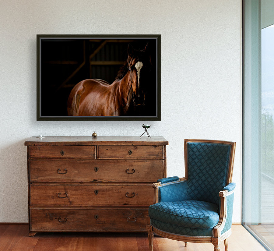 Studio Horses Reproduction