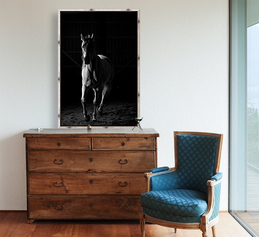Studio Horses Reproduction