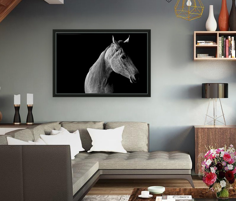Studio Horses Reproduction