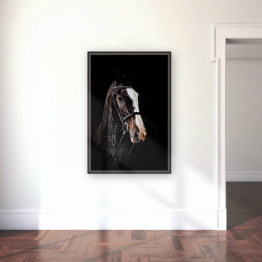 Studio Horses Reproduction
