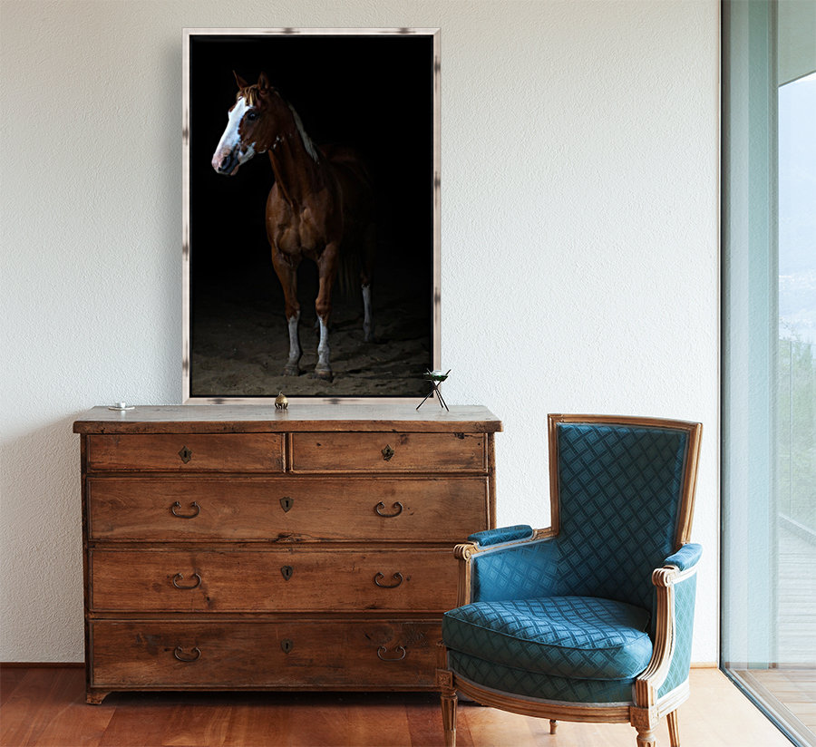 Studio Horses Reproduction