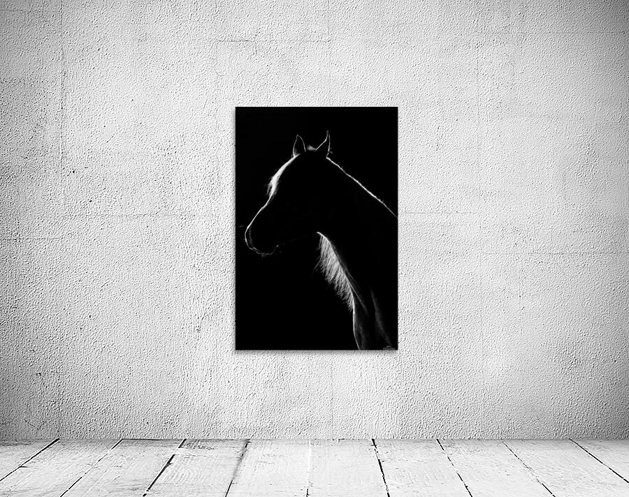 Studio Horses Wall Preview