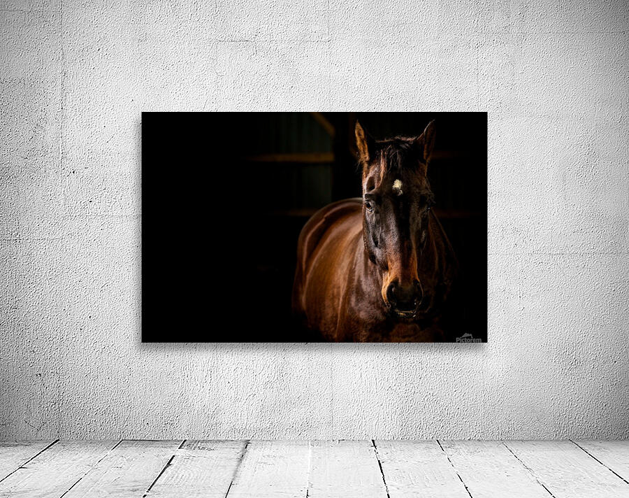 Studio Horses Wall Preview