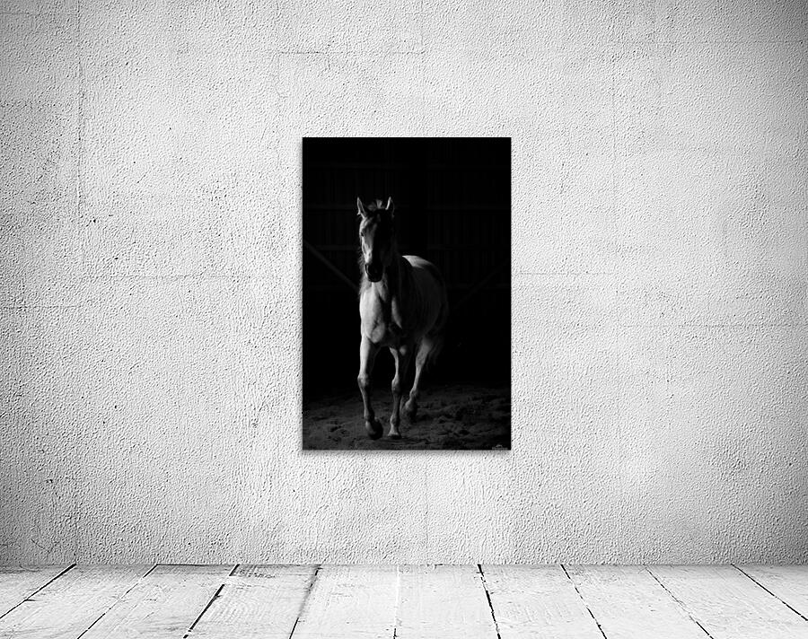 Studio Horses Wall Preview