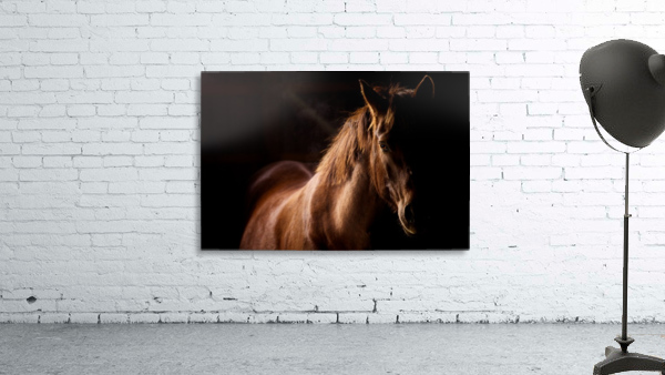 Studio Horses Wall Preview
