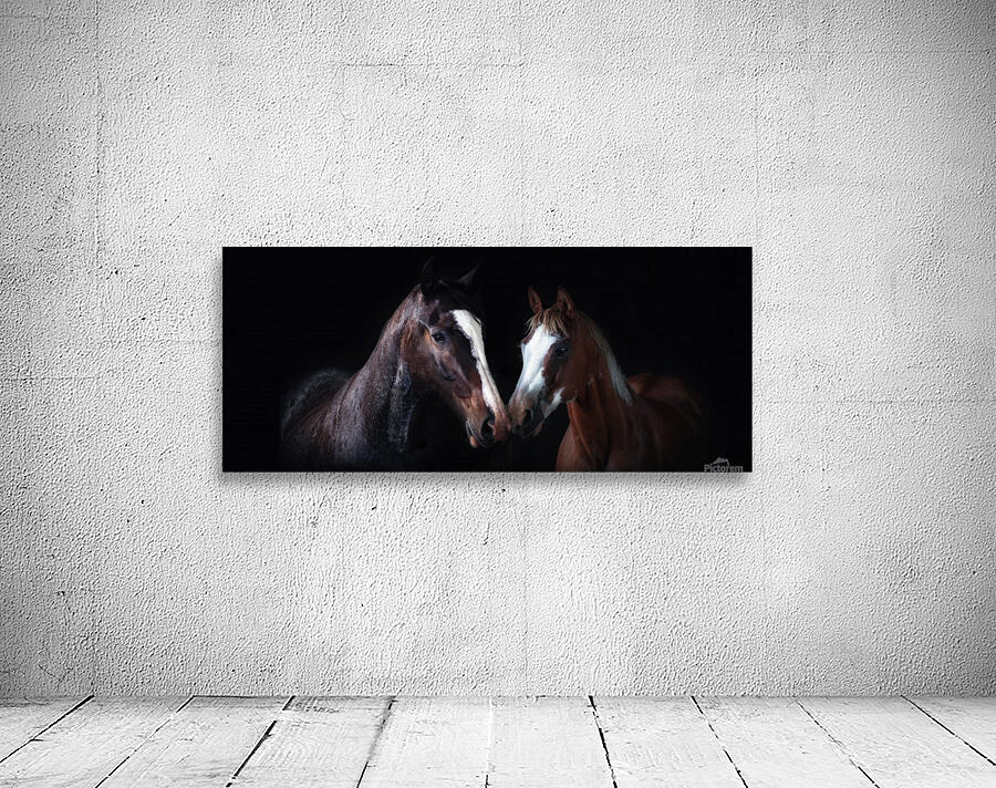 Studio Horses Wall Preview
