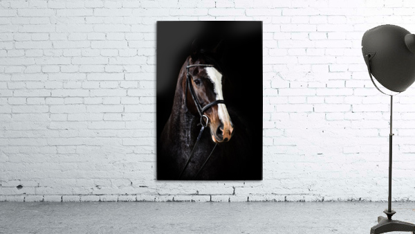 Studio Horses Wall Preview