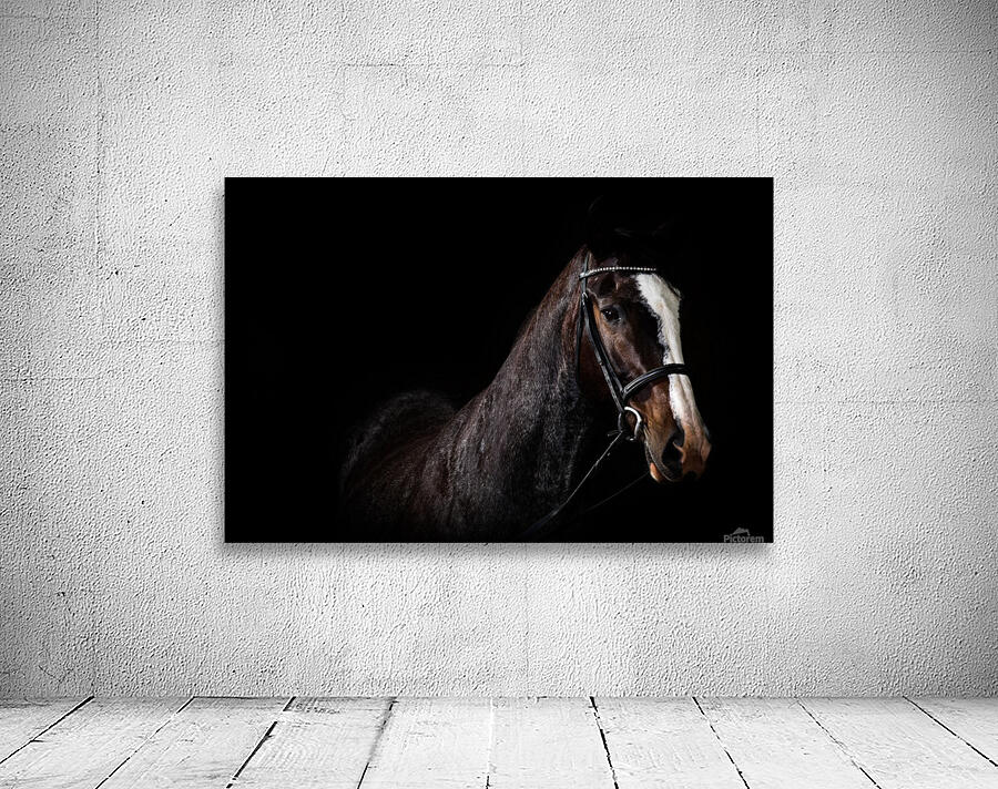 Studio Horses Wall Preview
