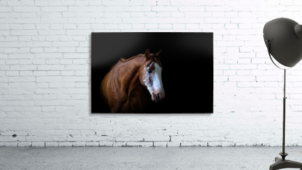 Studio Horses Wall Preview