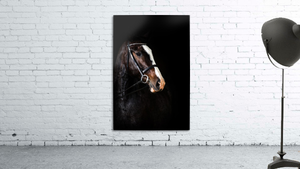 Studio Horses Wall Preview