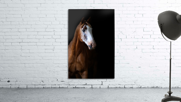 Studio Horses Wall Preview