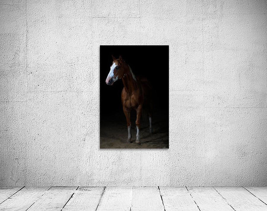 Studio Horses Wall Preview