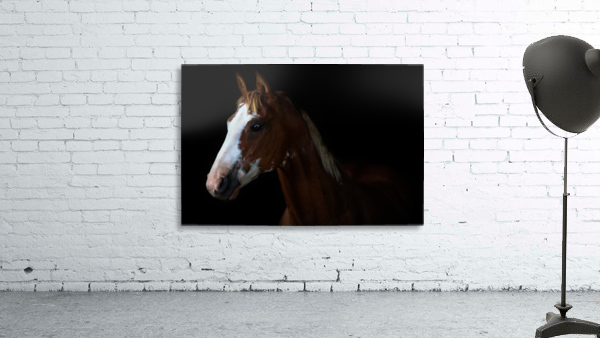 Studio Horses Wall Preview