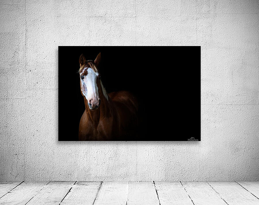 Studio Horses Wall Preview