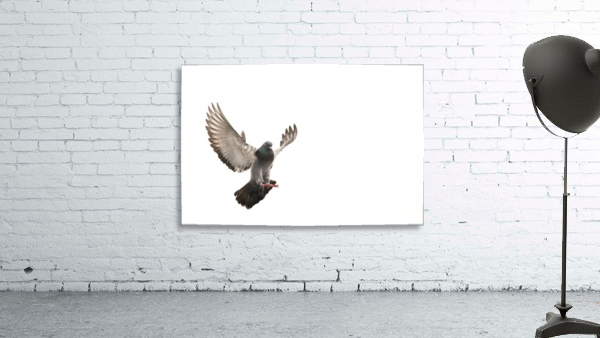 Take Flight Wall Preview